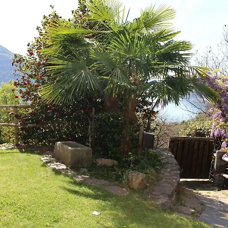 Apartment Ferienparadies Vite In *