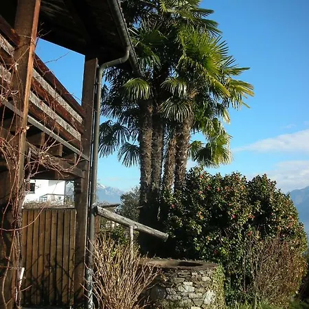 Apartment Ferienparadies Vite In *